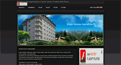 Desktop Screenshot of palurihotel.com